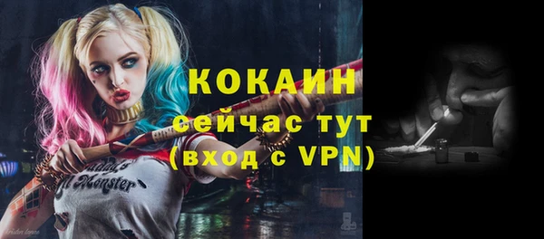 стаф Абинск