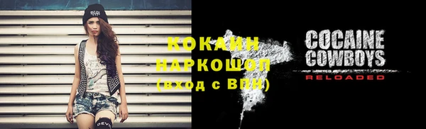 стаф Абинск