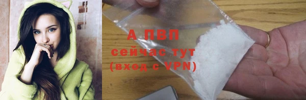 хмурый Абаза