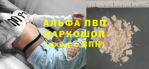 стаф Абинск