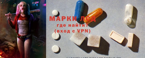 хмурый Абаза