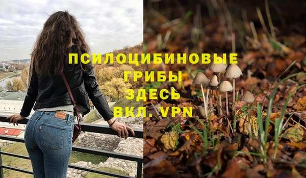 стаф Абинск